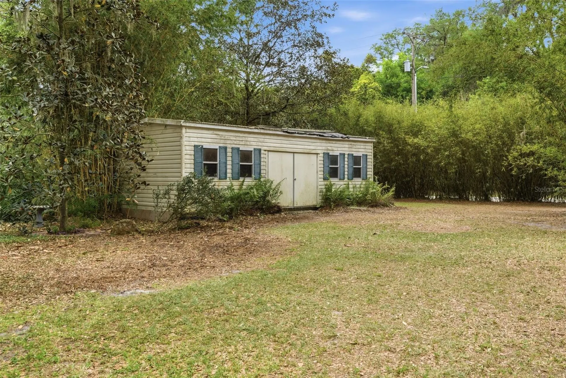 9101 Wood Terrace Drive Tampa FL 33637