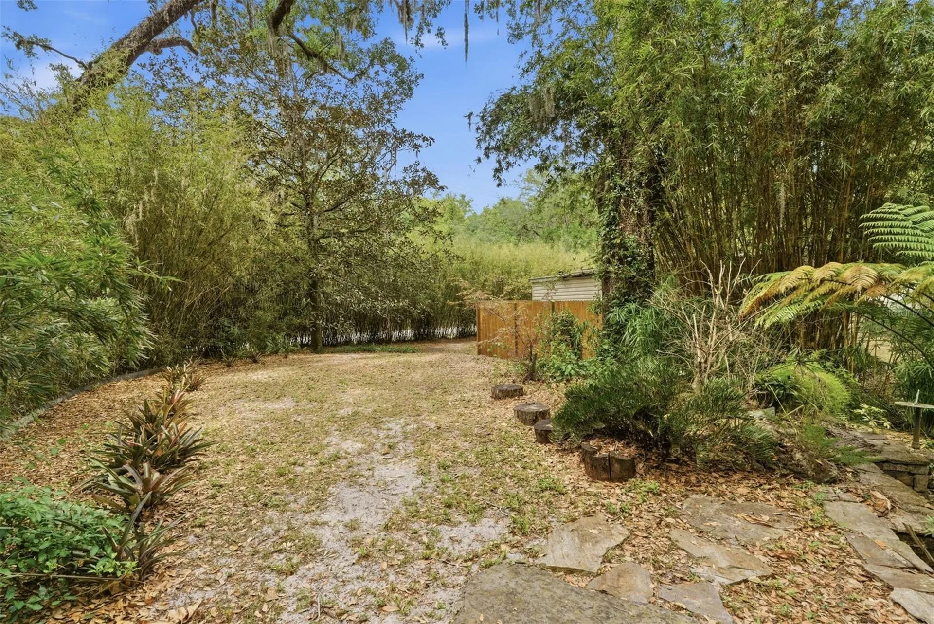 9101 Wood Terrace Drive Tampa FL 33637