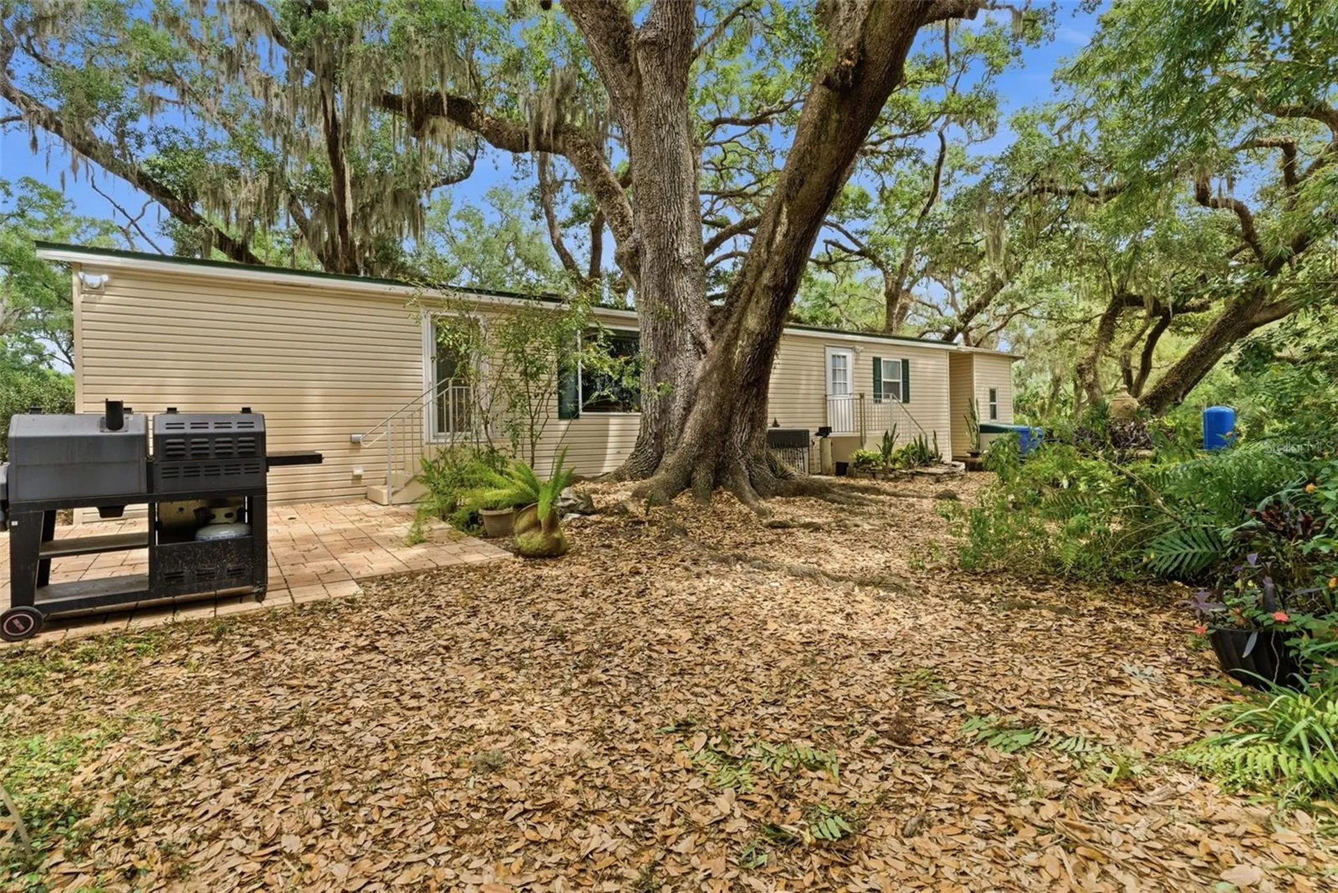 9101 Wood Terrace Drive Tampa FL 33637