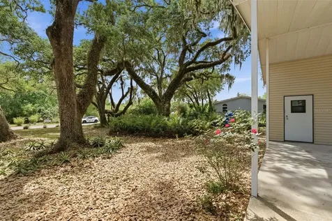 9101 Wood Terrace Drive Tampa FL 33637