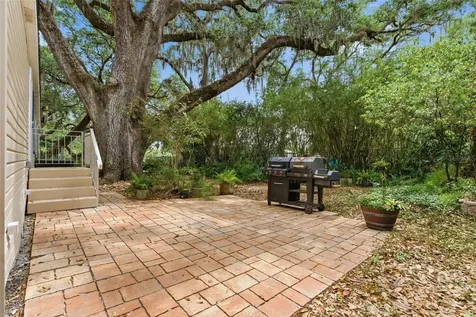 9101 Wood Terrace Drive Tampa FL 33637