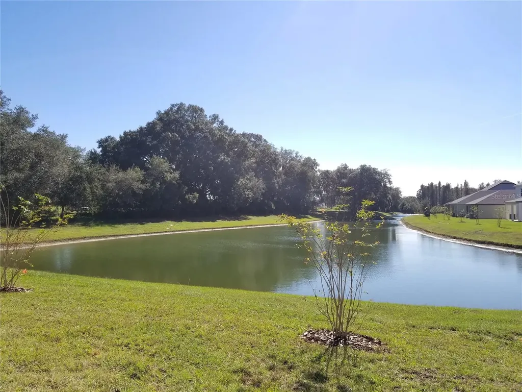 30708 Walker Cup Place Wesley Chapel FL 33543