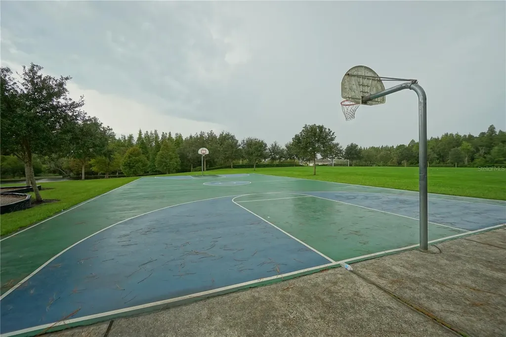 30708 Walker Cup Place Wesley Chapel FL 33543