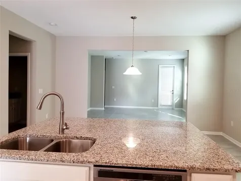 30708 Walker Cup Place Wesley Chapel FL 33543
