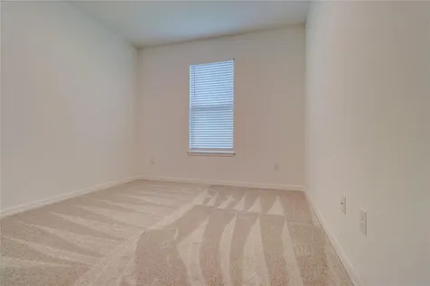 30708 Walker Cup Place Wesley Chapel FL 33543