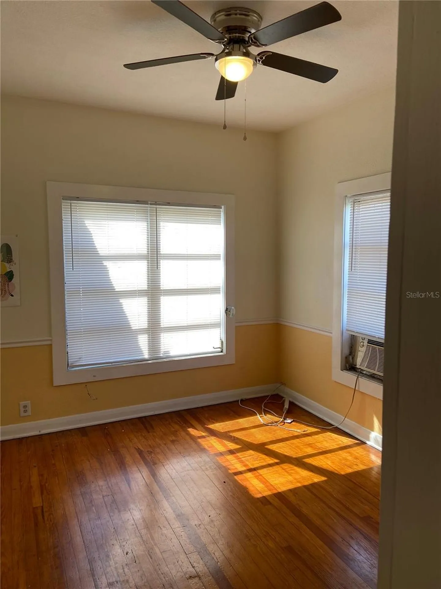 108 S Willow Avenue Tampa FL 33606
