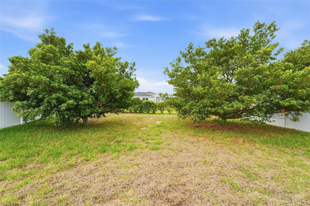186 Flatwoods Loop Davenport FL 33837