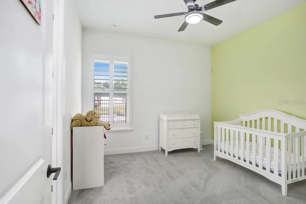 16247 November Rain Court Land O Lakes FL 34638