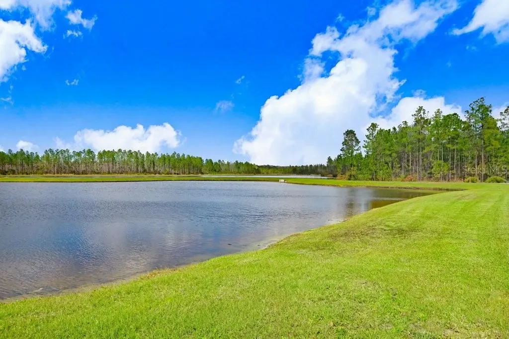 16247 November Rain Court Land O Lakes FL 34638