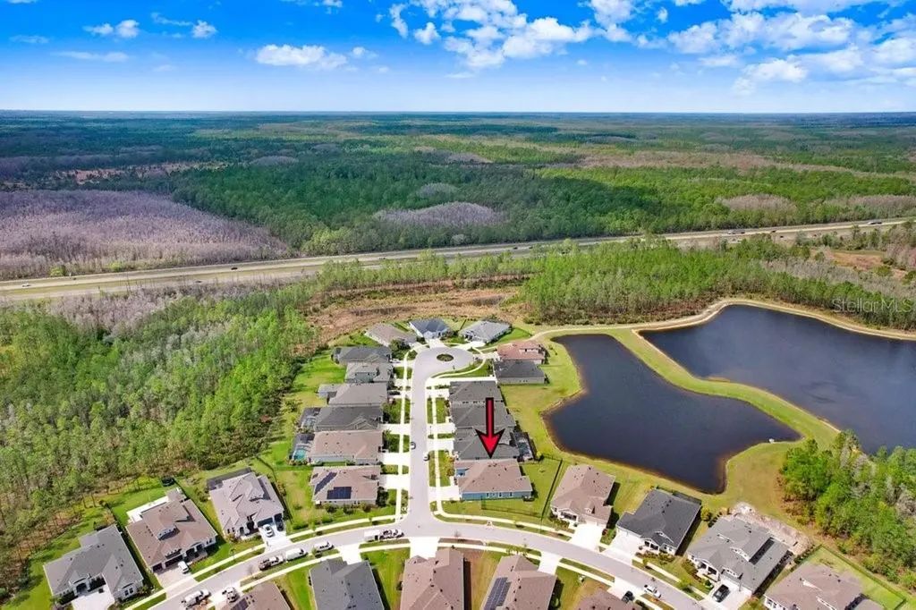 16247 November Rain Court Land O Lakes FL 34638