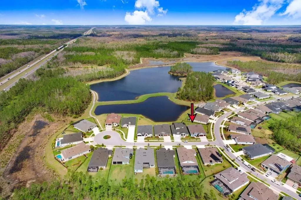 16247 November Rain Court Land O Lakes FL 34638