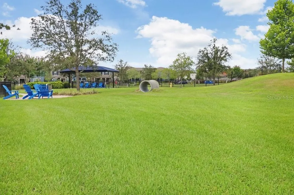 16247 November Rain Court Land O Lakes FL 34638