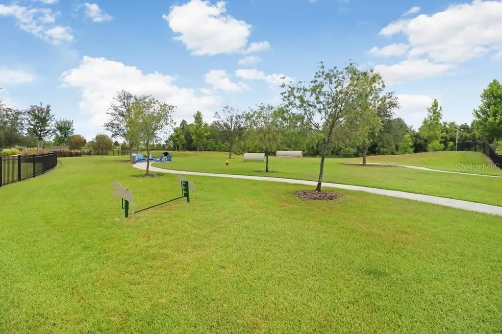16247 November Rain Court Land O Lakes FL 34638