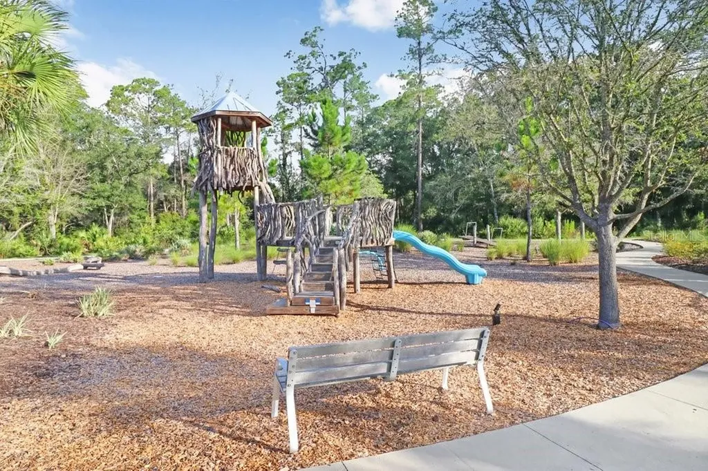 16247 November Rain Court Land O Lakes FL 34638