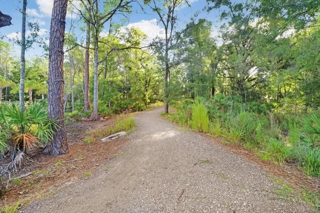 16247 November Rain Court Land O Lakes FL 34638