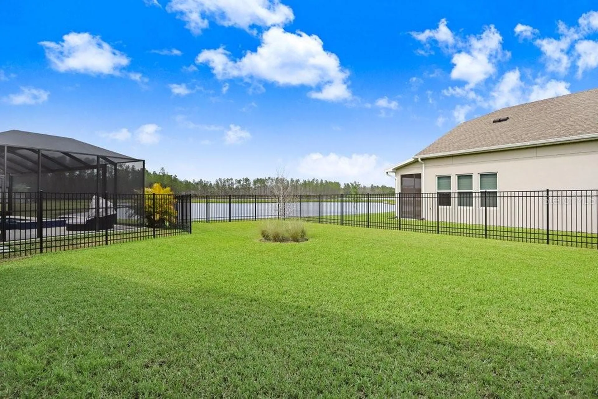 16247 November Rain Court Land O Lakes FL 34638