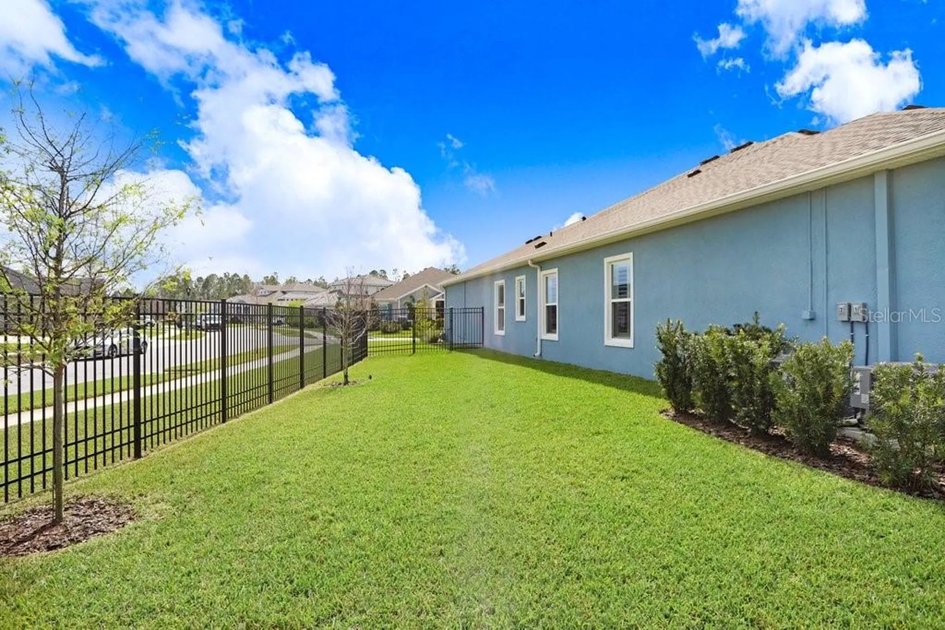 16247 November Rain Court Land O Lakes FL 34638