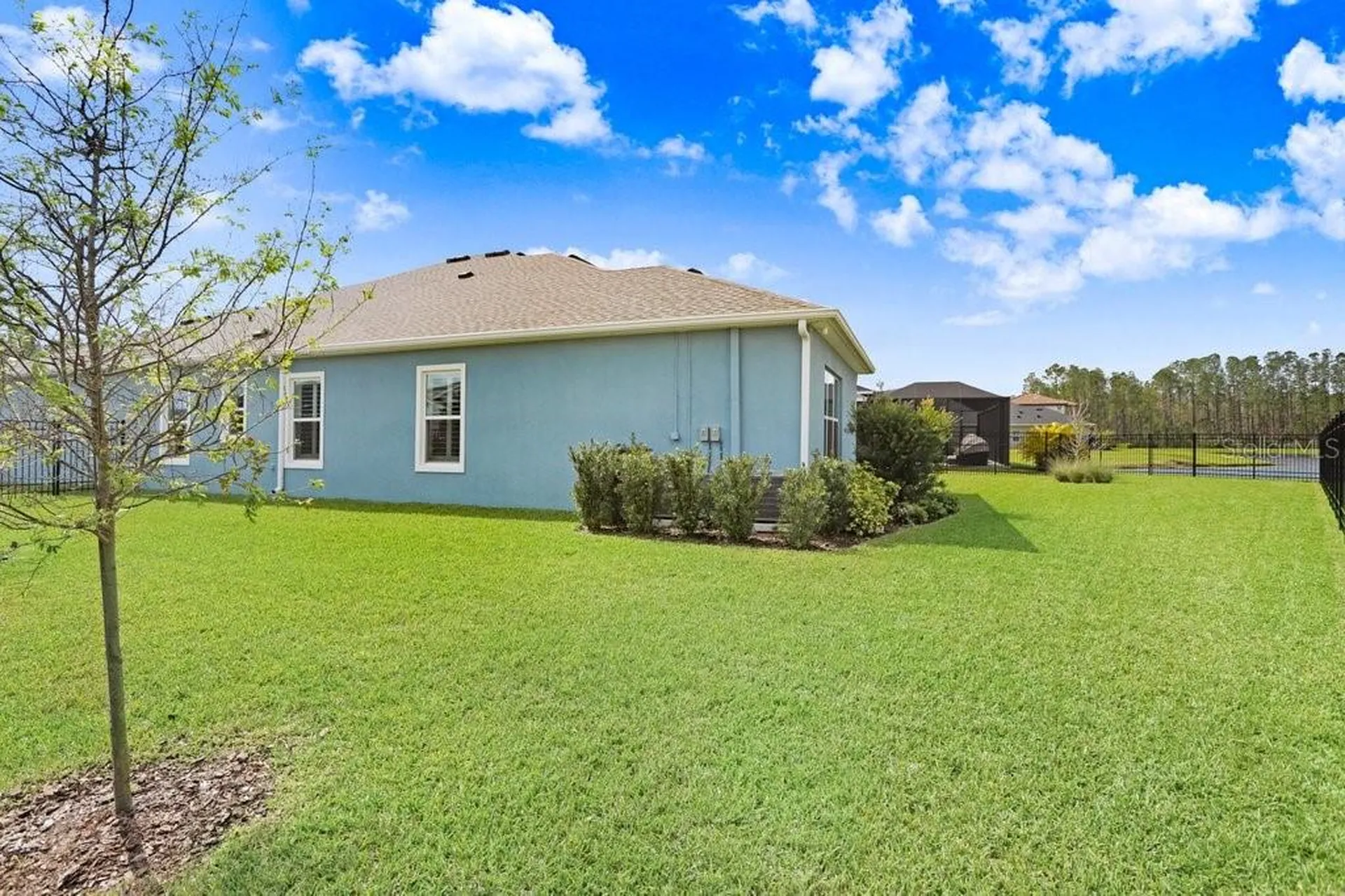 16247 November Rain Court Land O Lakes FL 34638