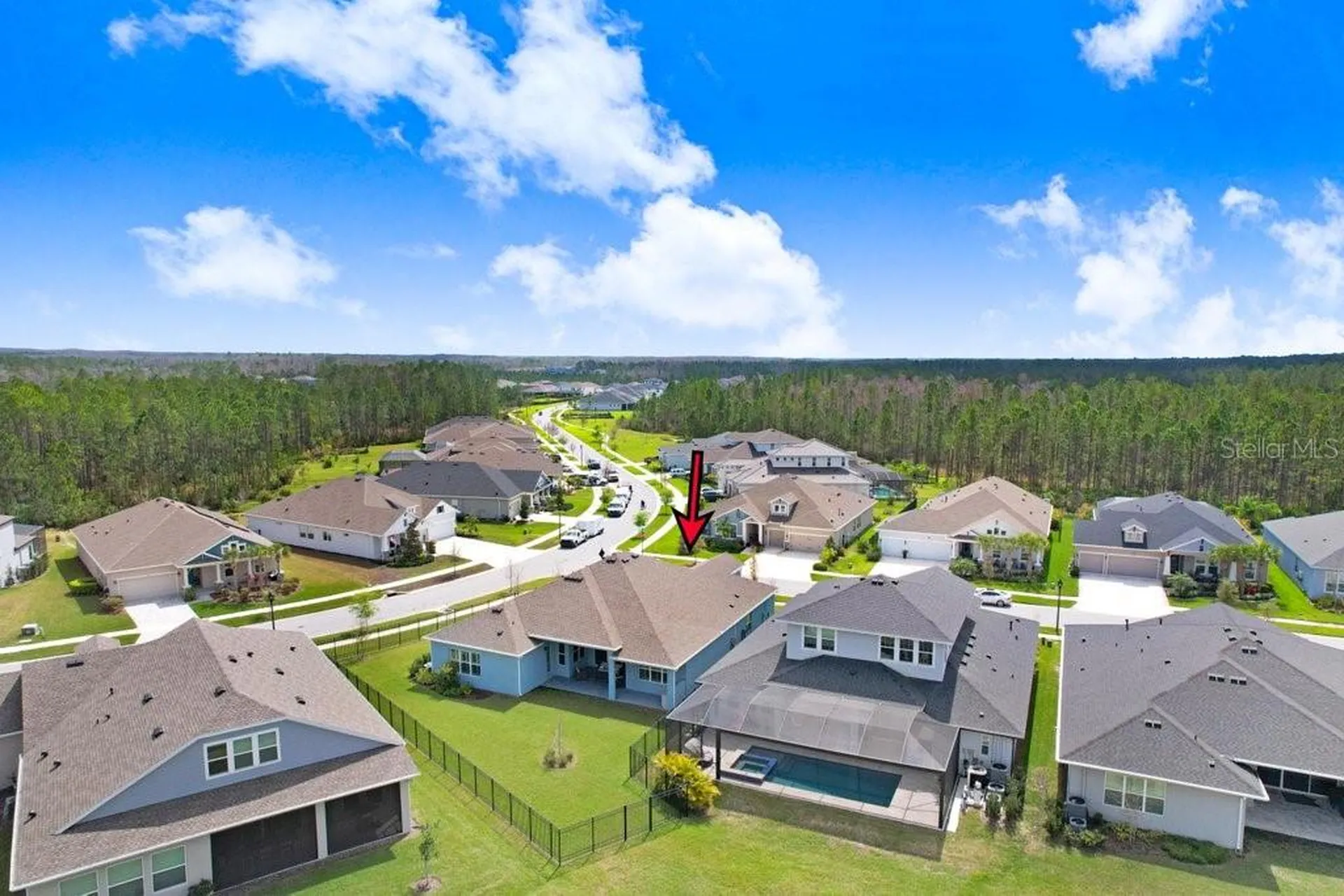 16247 November Rain Court Land O Lakes FL 34638