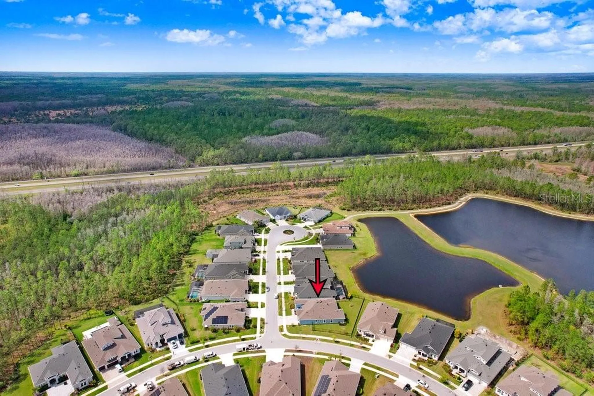 16247 November Rain Court Land O Lakes FL 34638