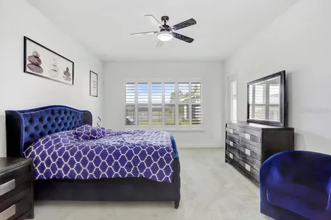 16247 November Rain Court Land O Lakes FL 34638