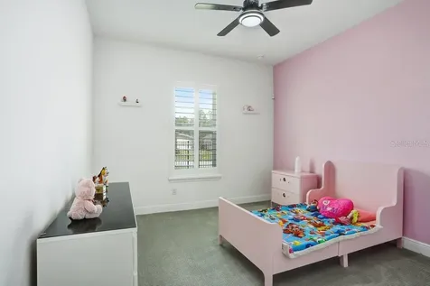 16247 November Rain Court Land O Lakes FL 34638