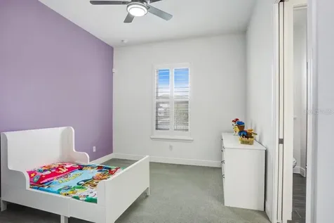 16247 November Rain Court Land O Lakes FL 34638