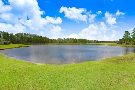 16247 November Rain Court Land O Lakes FL 34638