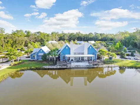 16247 November Rain Court Land O Lakes FL 34638