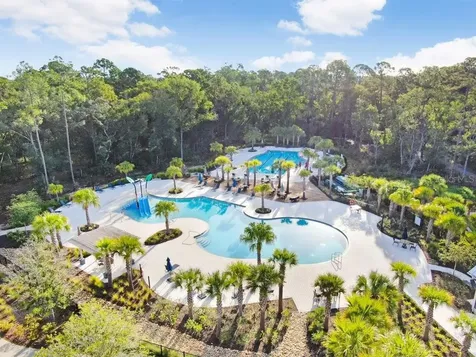 16247 November Rain Court Land O Lakes FL 34638