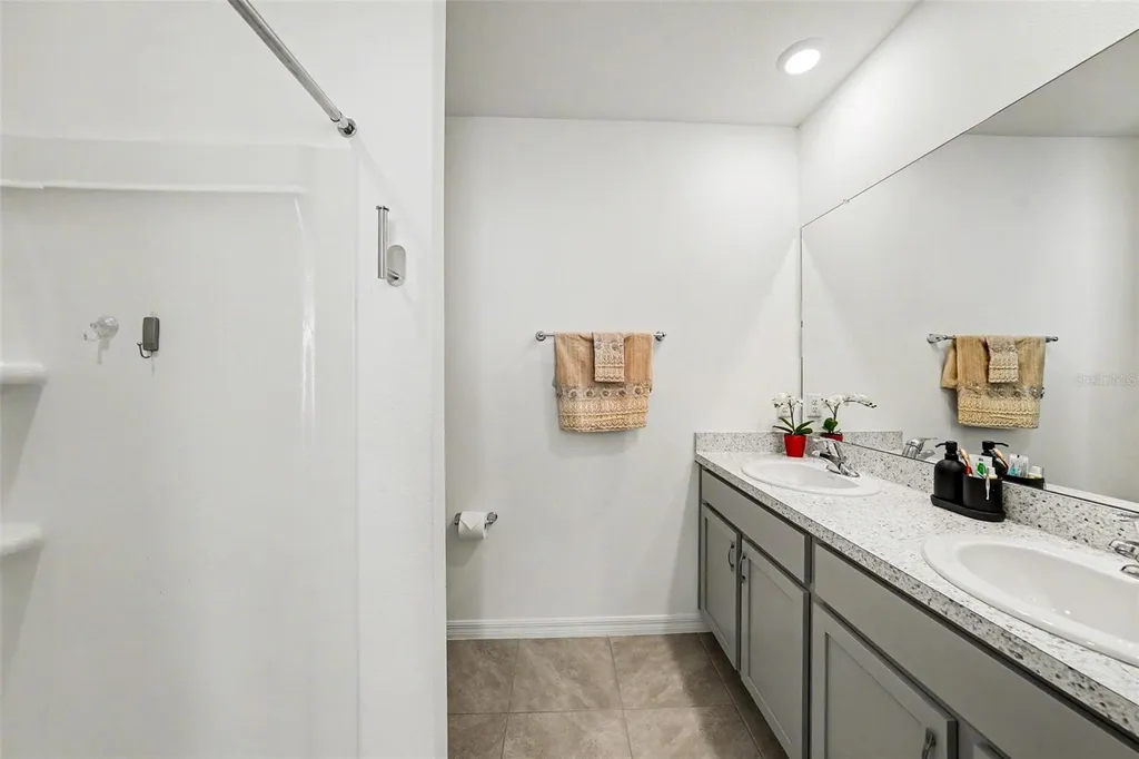 6298 Wandering Willow Drive Wesley Chapel FL 33545