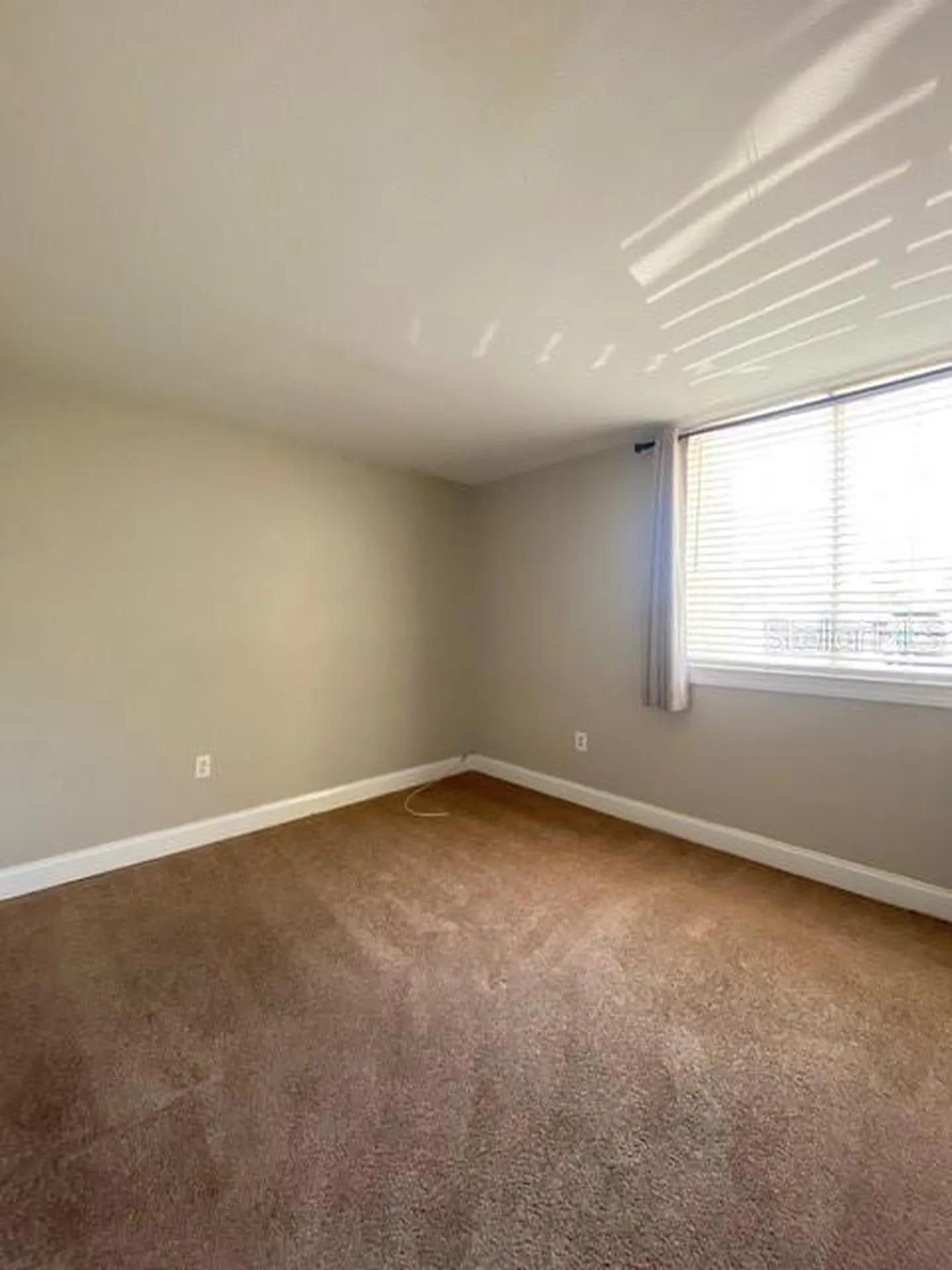 1301 S Howard Avenue Tampa FL 33606