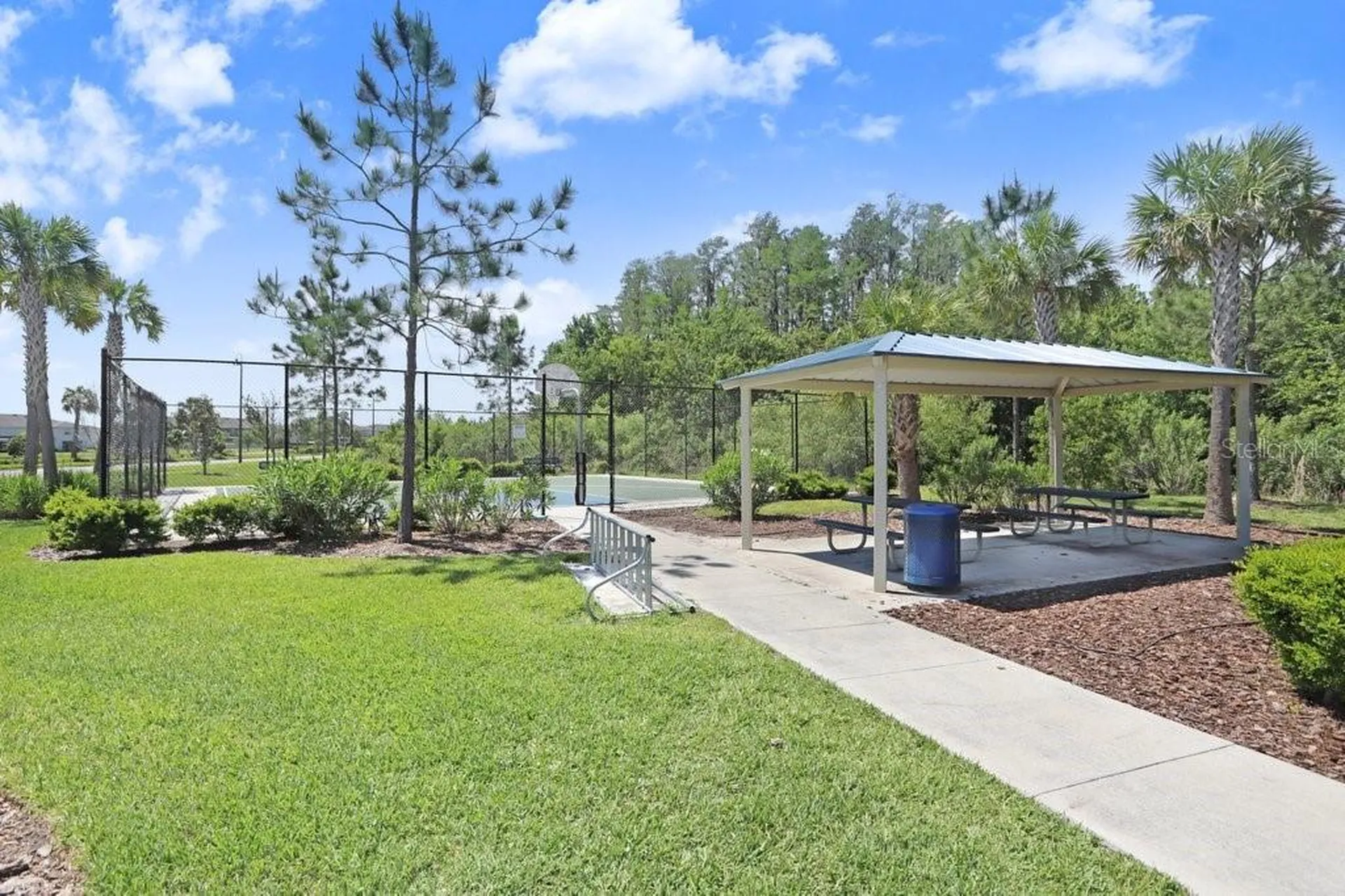 3044 Suncoast Plains Drive Odessa FL 33556