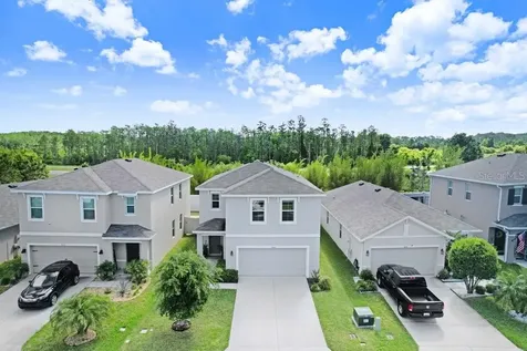 3044 Suncoast Plains Drive Odessa FL 33556