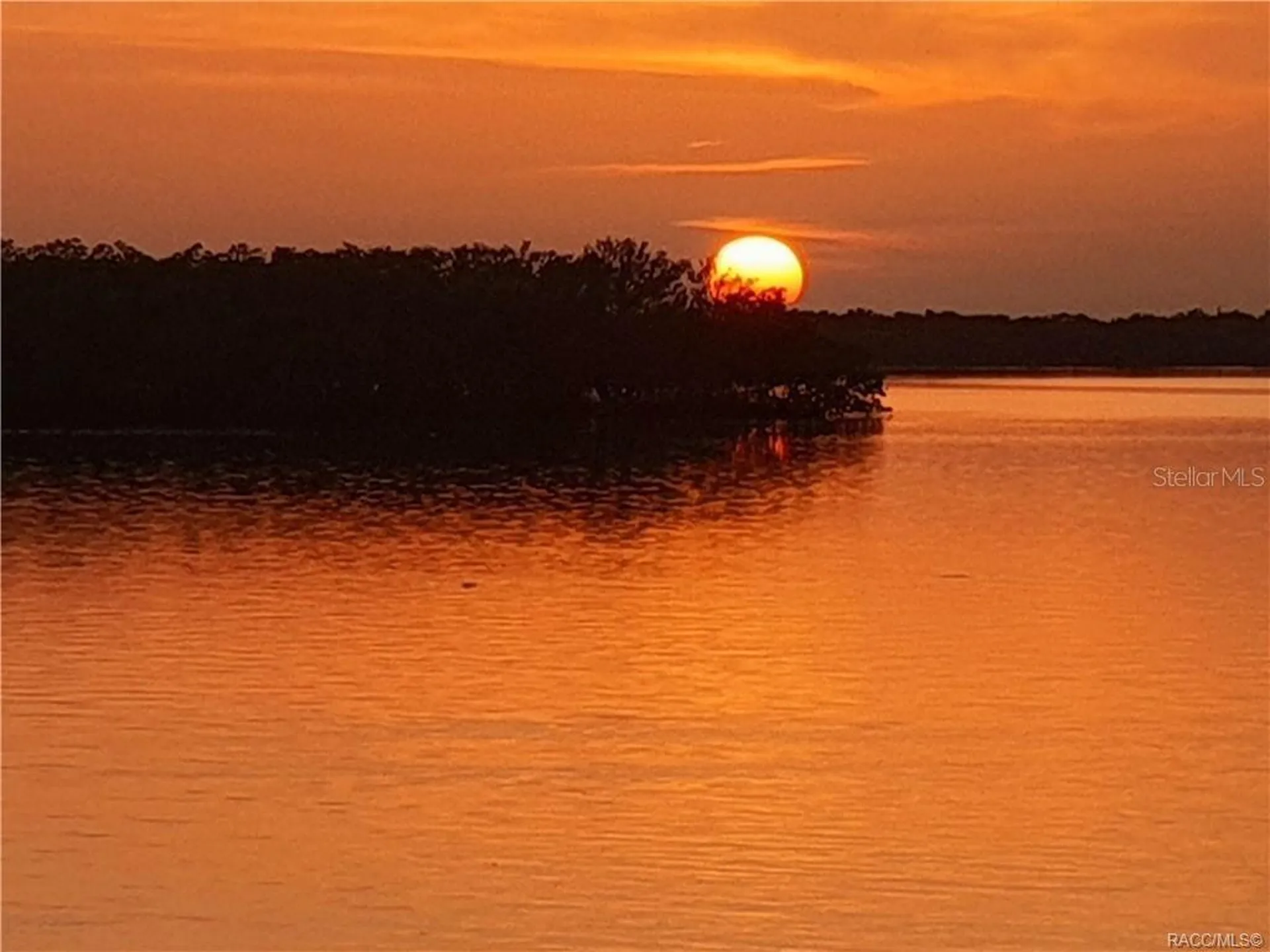 Citrus Springs FL 34434