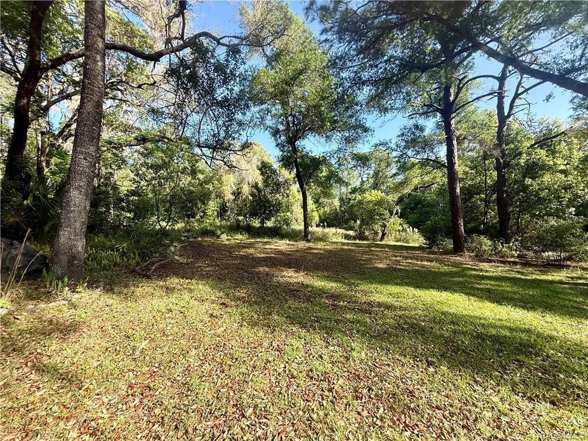 Citrus Springs FL 34434