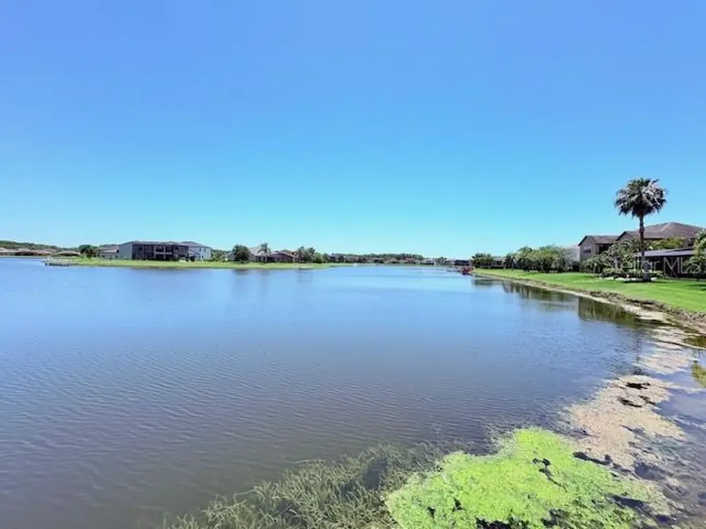 1726 Brassie Court Kissimmee FL 34746