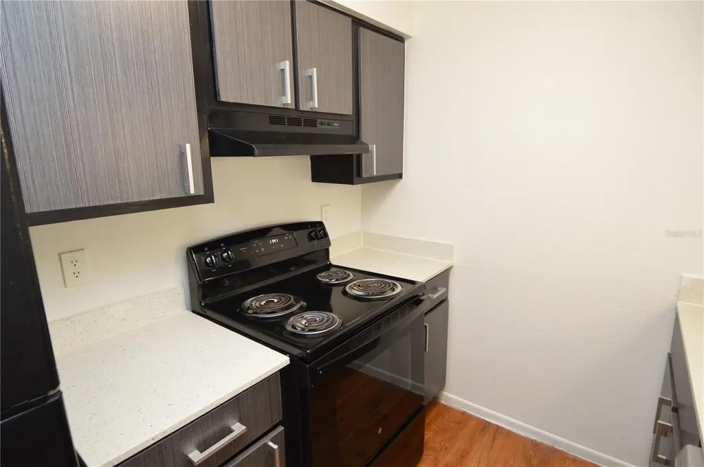 8425 Cerro Circle Tampa FL 33617