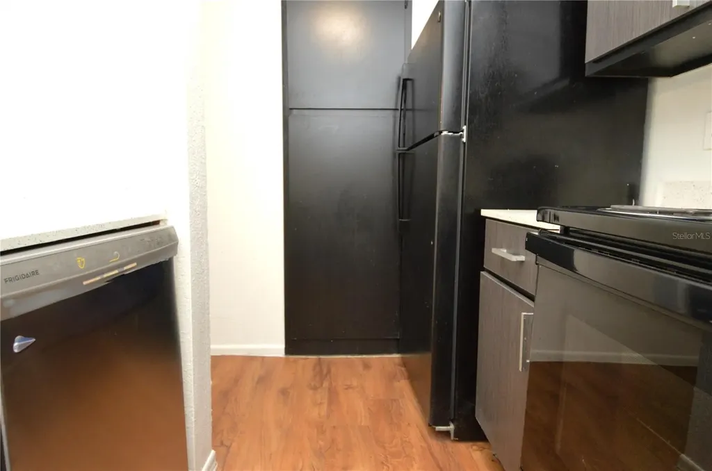 8425 Cerro Circle Tampa FL 33617