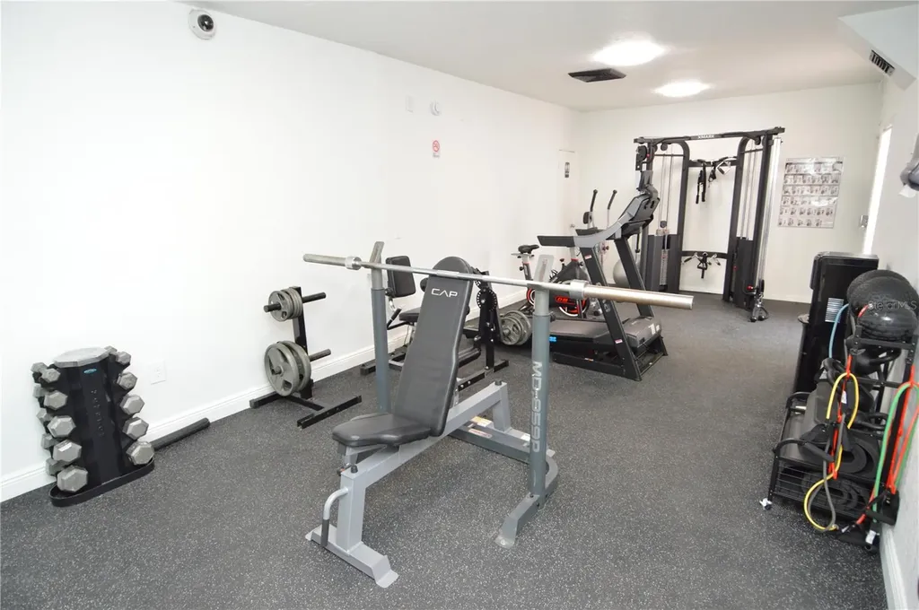 8425 Cerro Circle Tampa FL 33617