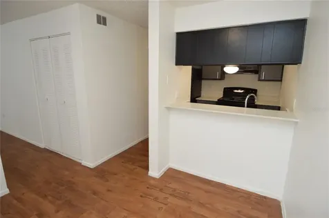 8425 Cerro Circle Tampa FL 33617