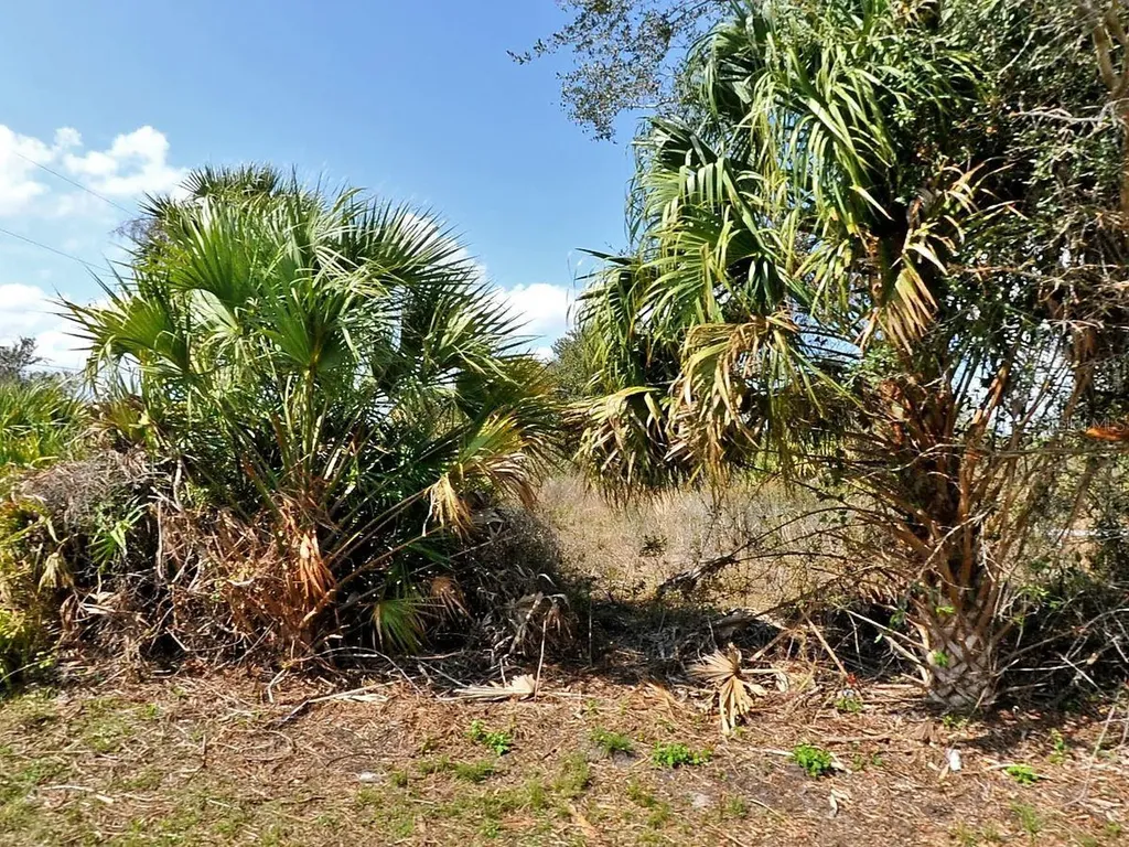 Skyview Drive North Port FL 34291