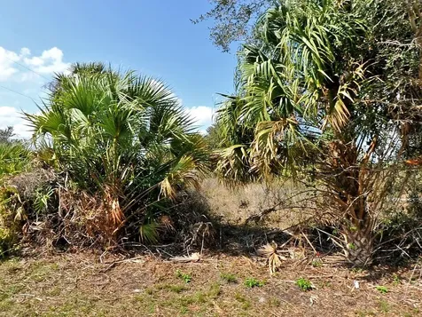 Skyview Drive North Port FL 34291