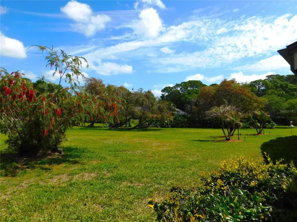 40 Dale Place Oldsmar FL 34677