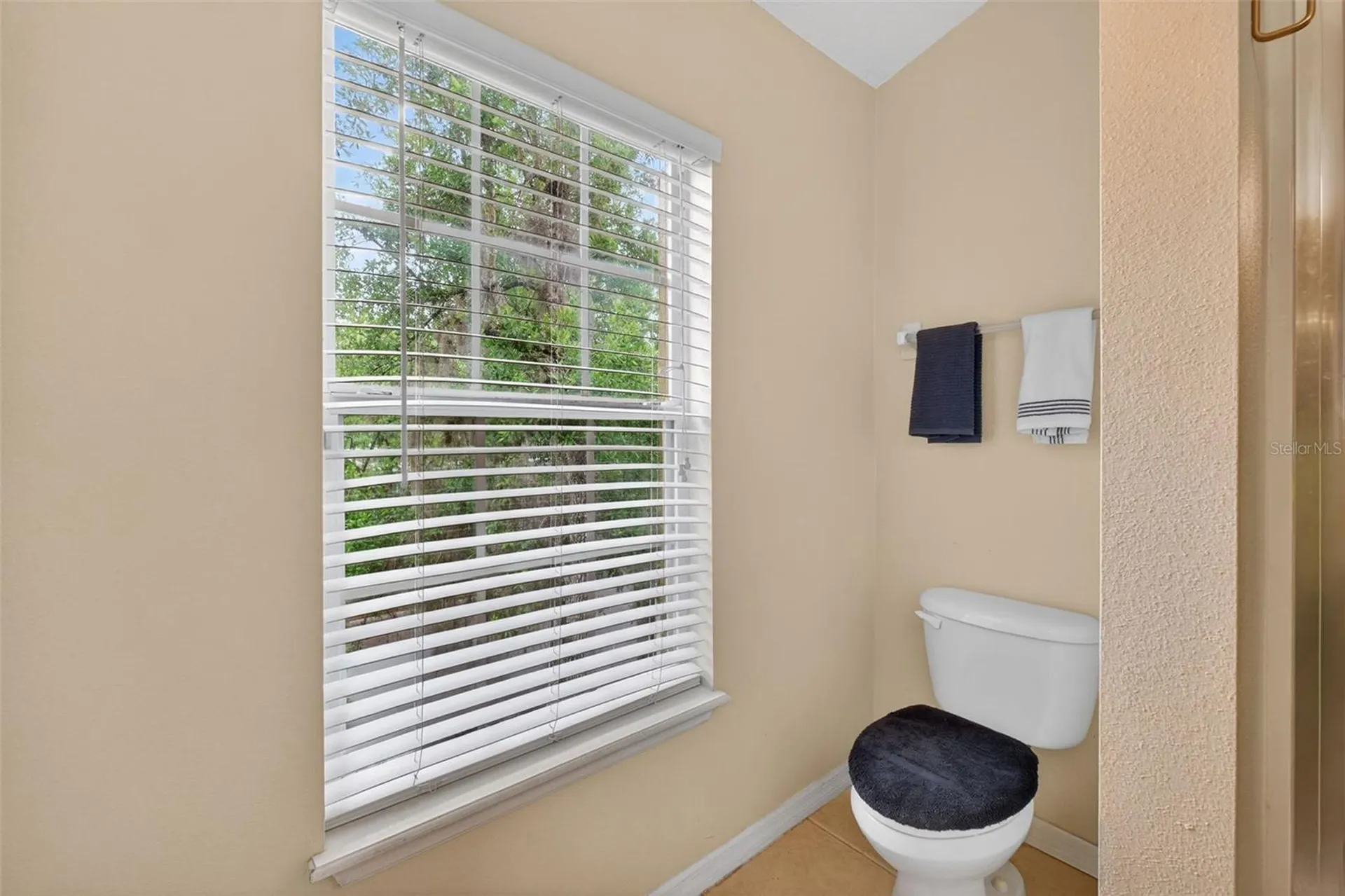 10236 Lake District Lane Orlando FL 32832