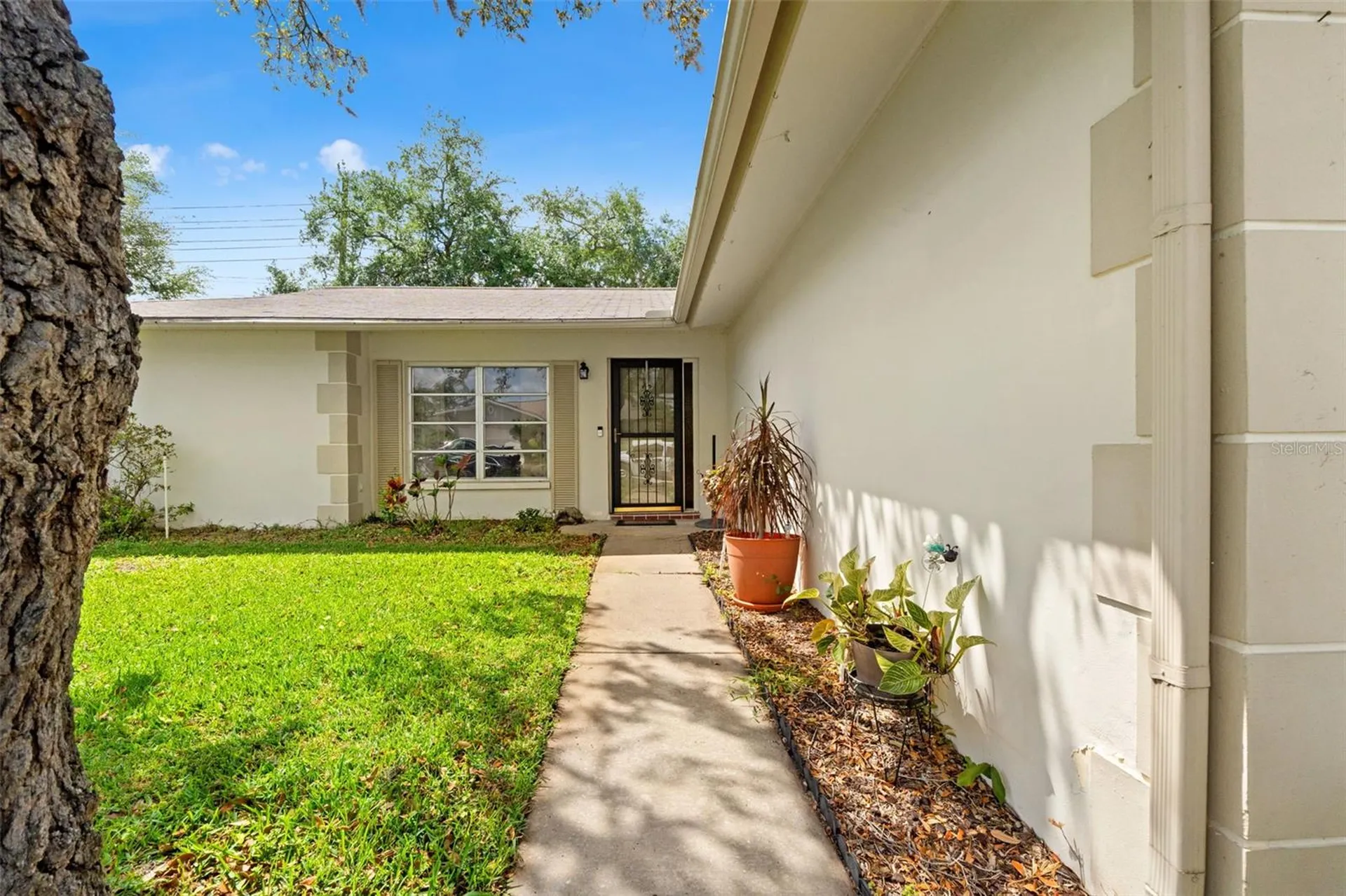 8510 Winding Wood Drive Port Richey FL 34668