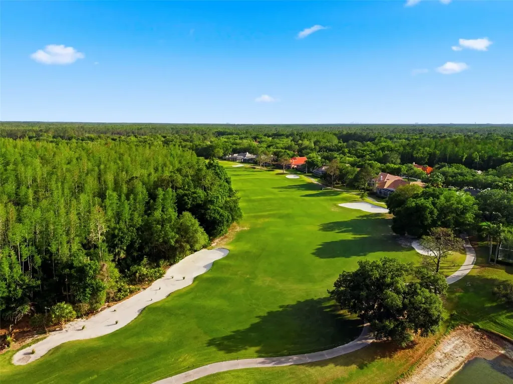9207 Meadow Lane Court Tampa FL 33647