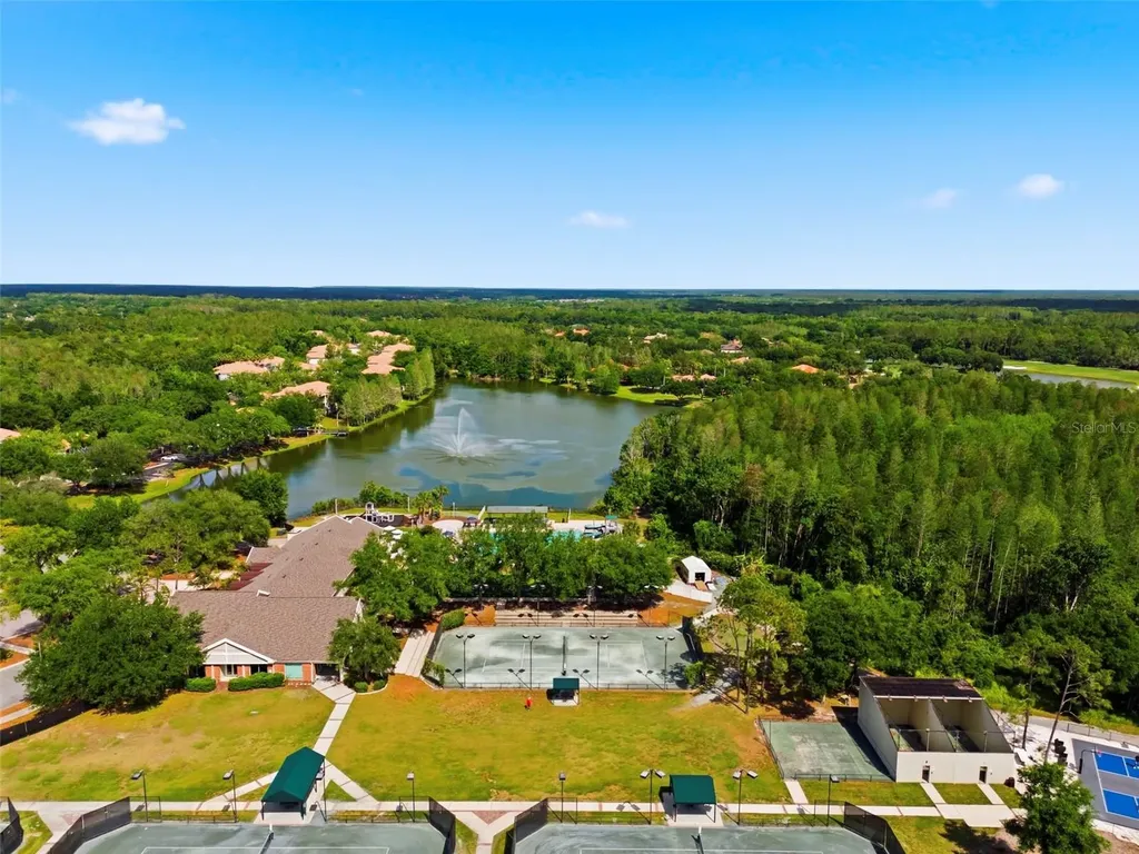 9207 Meadow Lane Court Tampa FL 33647