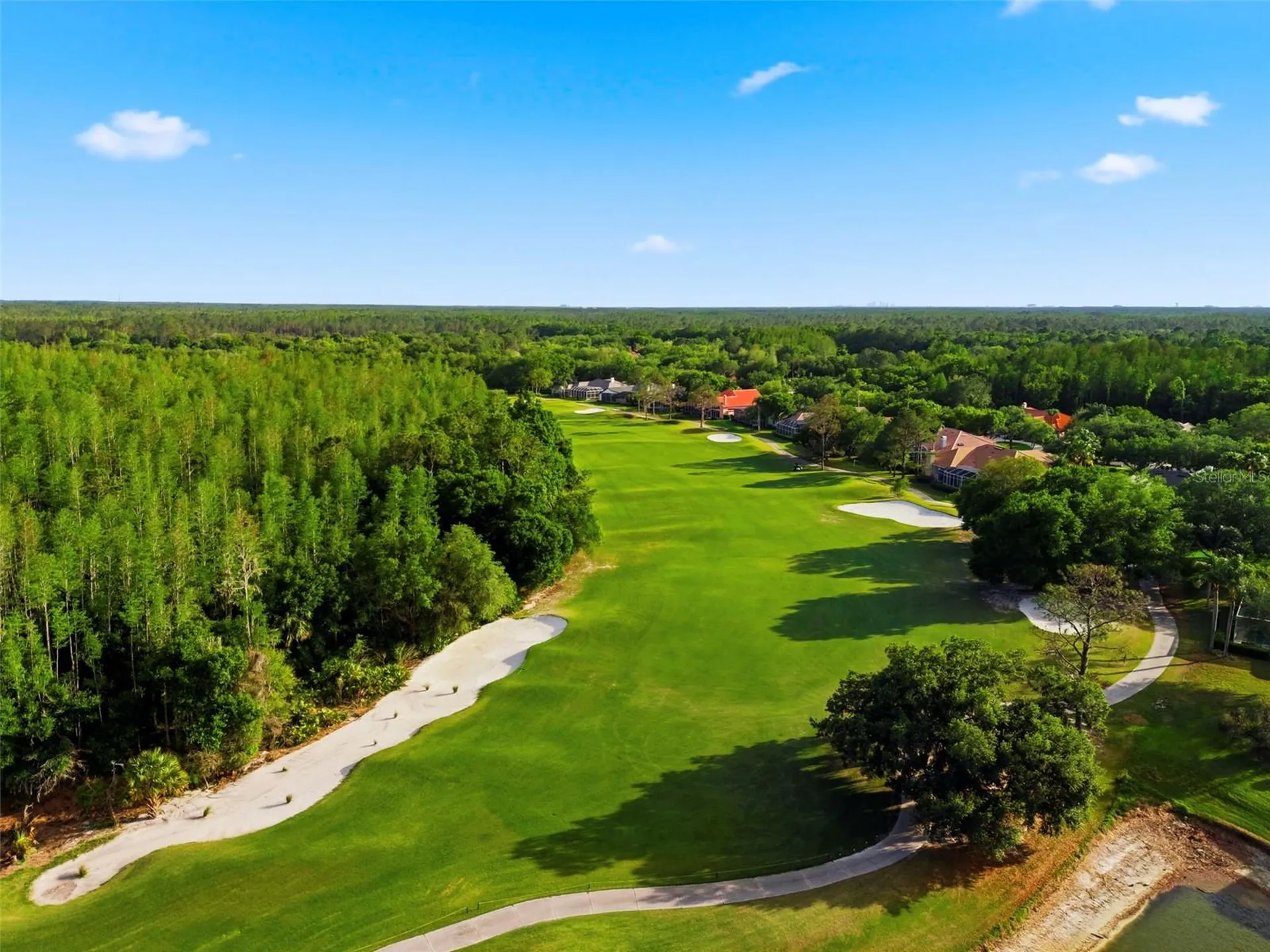 9207 Meadow Lane Court Tampa FL 33647