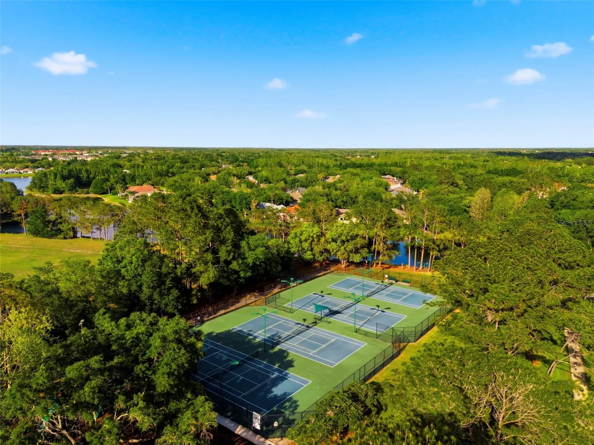 9207 Meadow Lane Court Tampa FL 33647